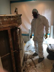 A Mold Removal Technician Cleaning an Infested Home