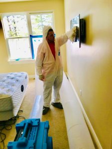 Mold Cleanup Services in a Residential Property